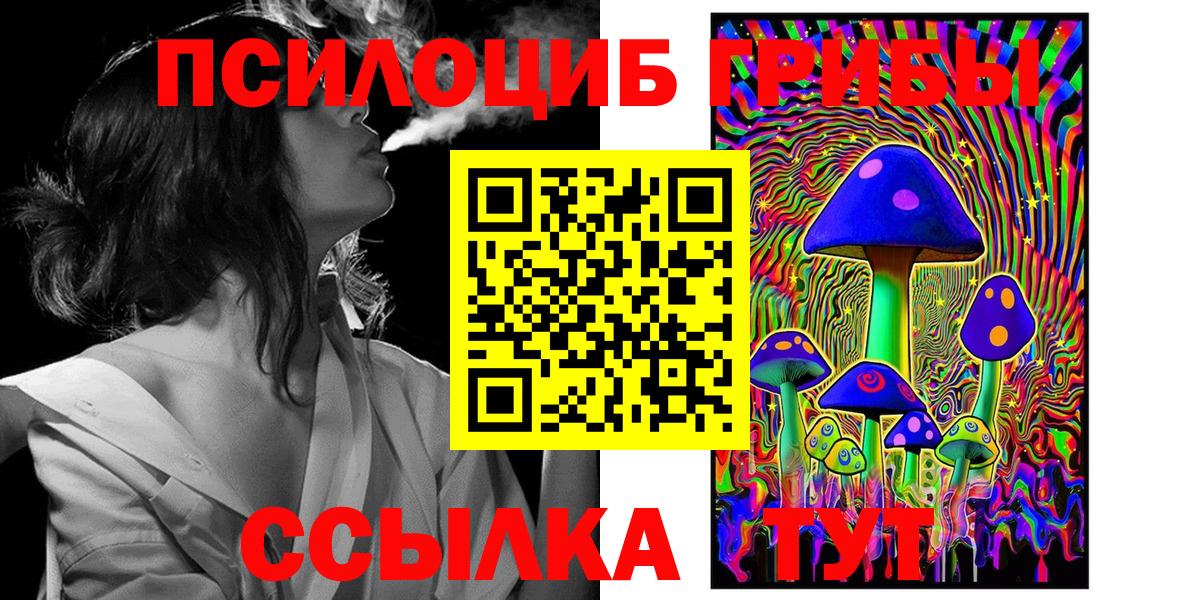 Галлюциногенные грибы Psilocybe  Вход с VPN  купить  цена  Сафоново 