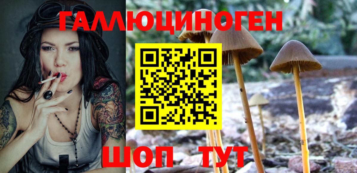 Галлюциногенные грибы Psilocybine cubensis Сафоново